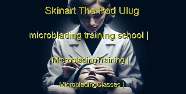 Skinart The Pod Ulug microblading training school | MicrobladingTraining | MicrobladingClasses | SkinartTraining-Russian Federation
